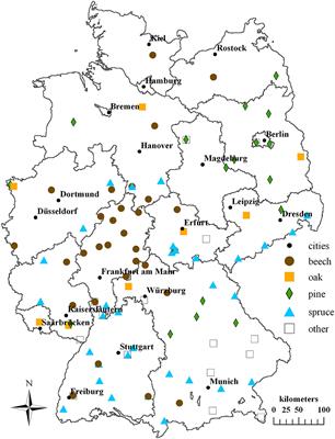 Comparison of Methods for the Estimation of Total Inorganic Nitrogen Deposition to Forests in Germany